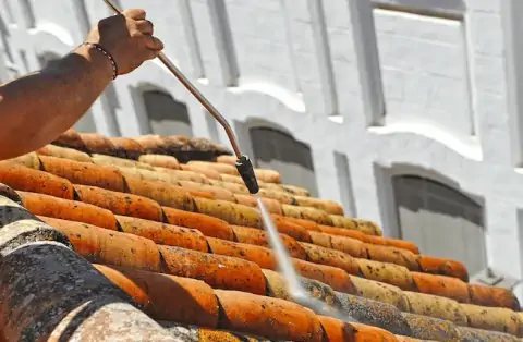 Nettoyage de toitures - Chêne-en-Semine